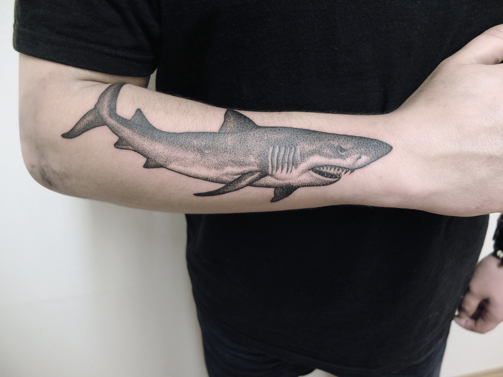 Shark1